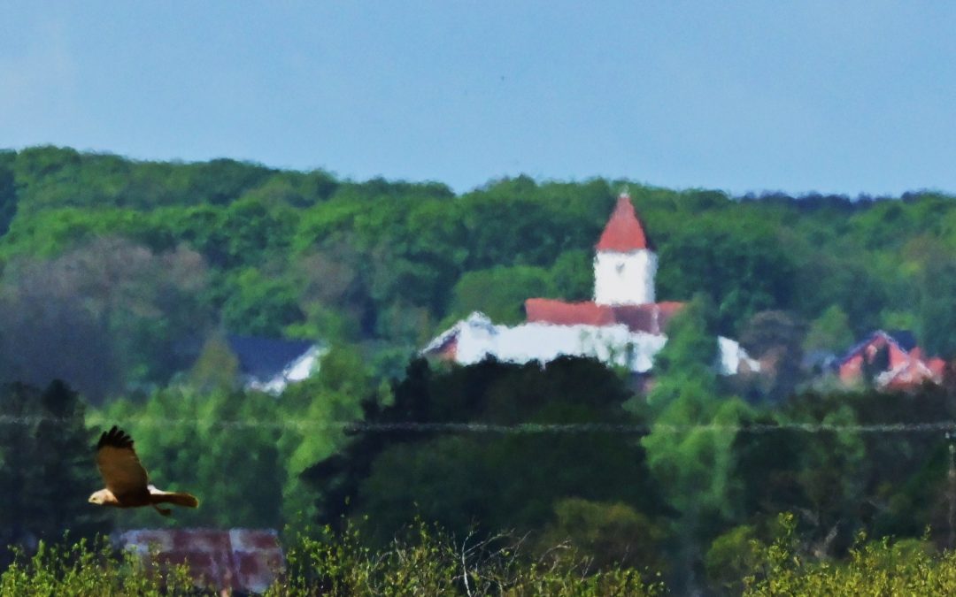 Silvåkrakärret